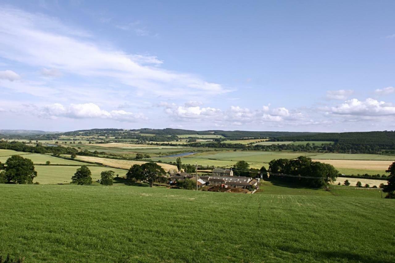 Anick Grange Farm B&B Hexham Exterior foto